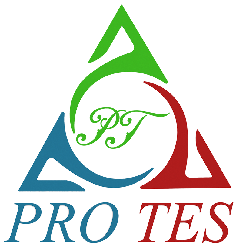 Protes Enerji